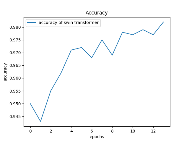 Swin Transformer Accuracy